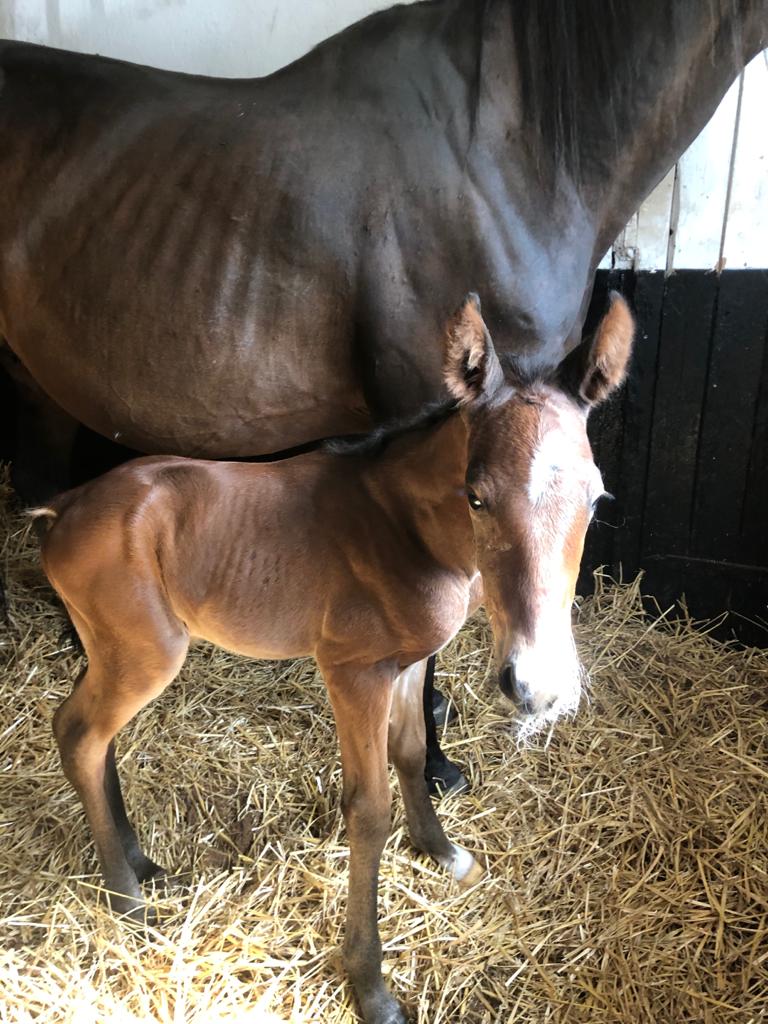 IMG-20200608-WA