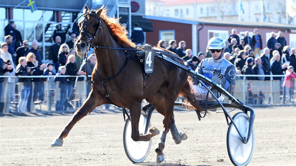 V75-2 SUPER WAR HORSE MAL