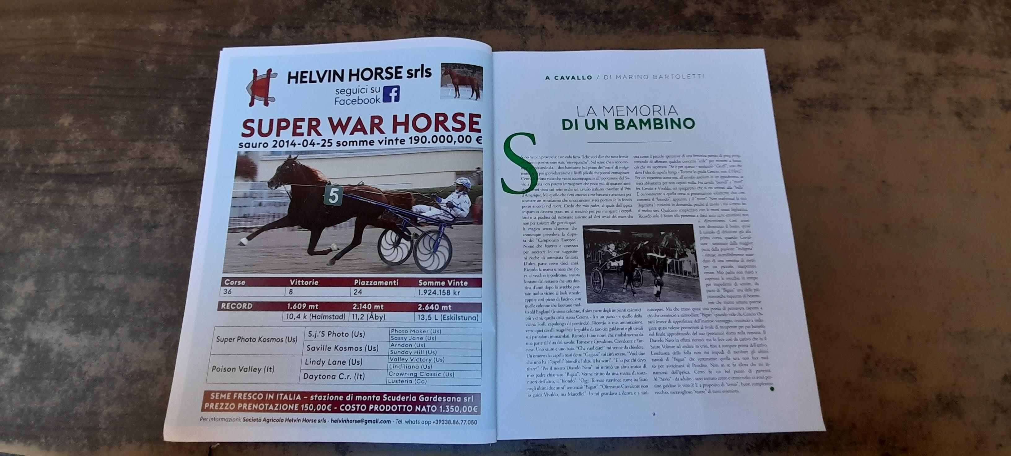 rivista trotta